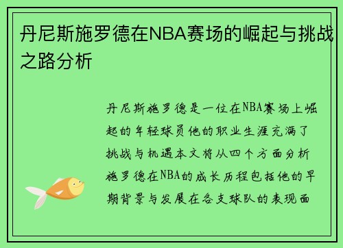 丹尼斯施罗德在NBA赛场的崛起与挑战之路分析