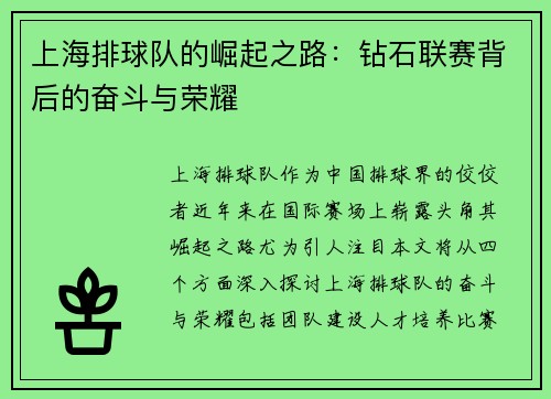 上海排球队的崛起之路：钻石联赛背后的奋斗与荣耀