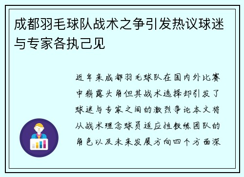 成都羽毛球队战术之争引发热议球迷与专家各执己见