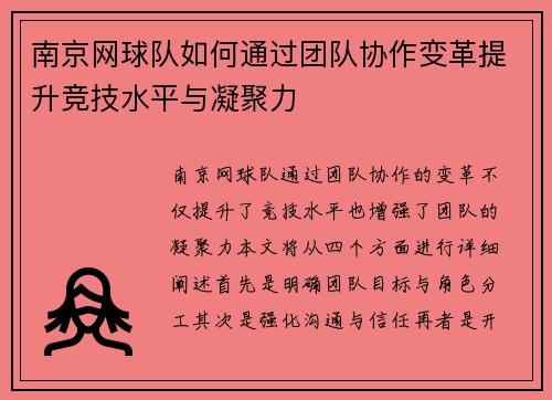 南京网球队如何通过团队协作变革提升竞技水平与凝聚力